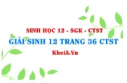 Giải Sinh 12 trang 36 Chân trời Sáng tạo
